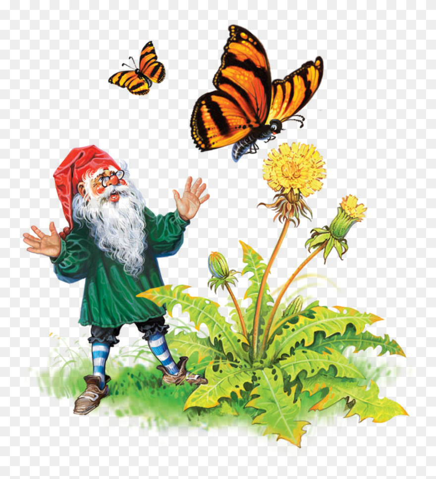 Fairy Clipart Gnome - Dwarf - Png Download