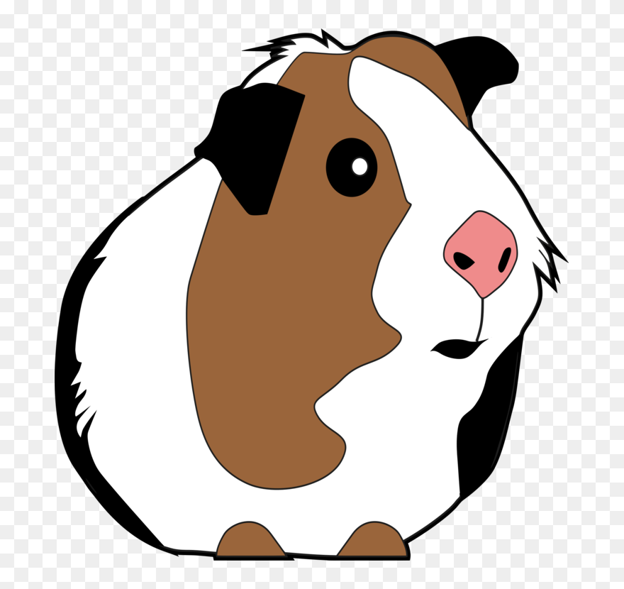 Head,neck,non Sporting Group - Guinea Pig Clipart Transparent - Png Download