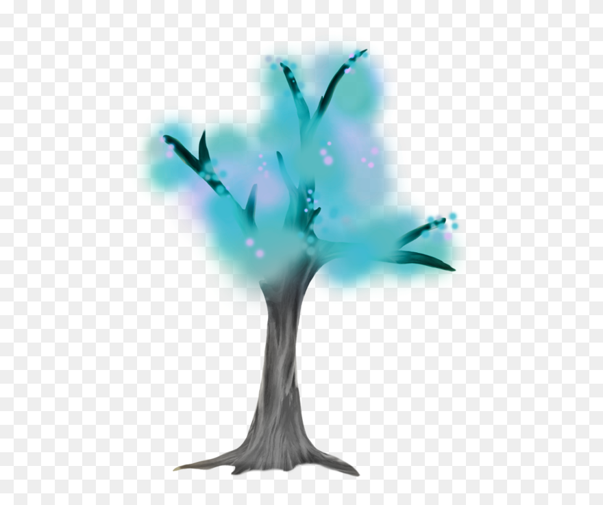 Still Life Photography Clipart