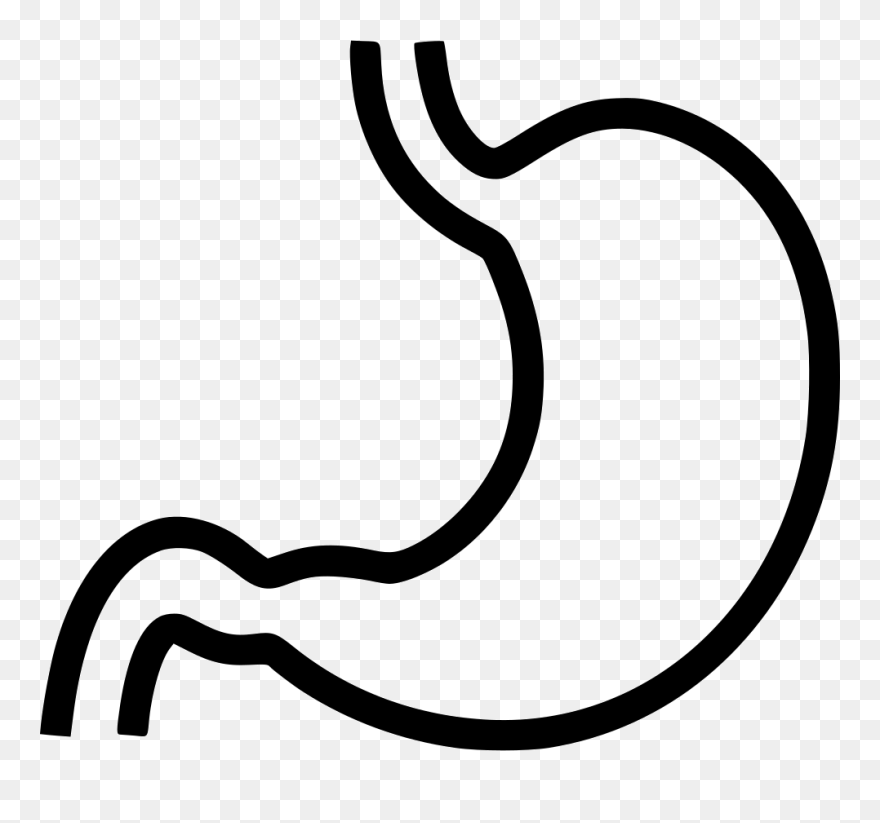 Stomach Clipart
