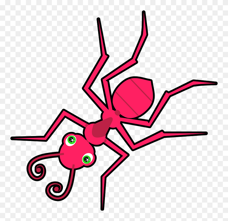 Cartoon Ant Clipart - Ant - Png Download