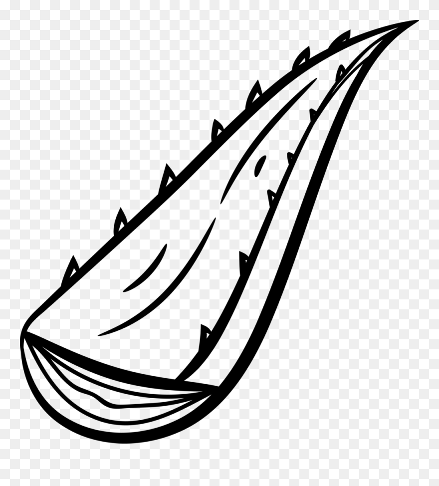 Cd Aloe Vera Clipart