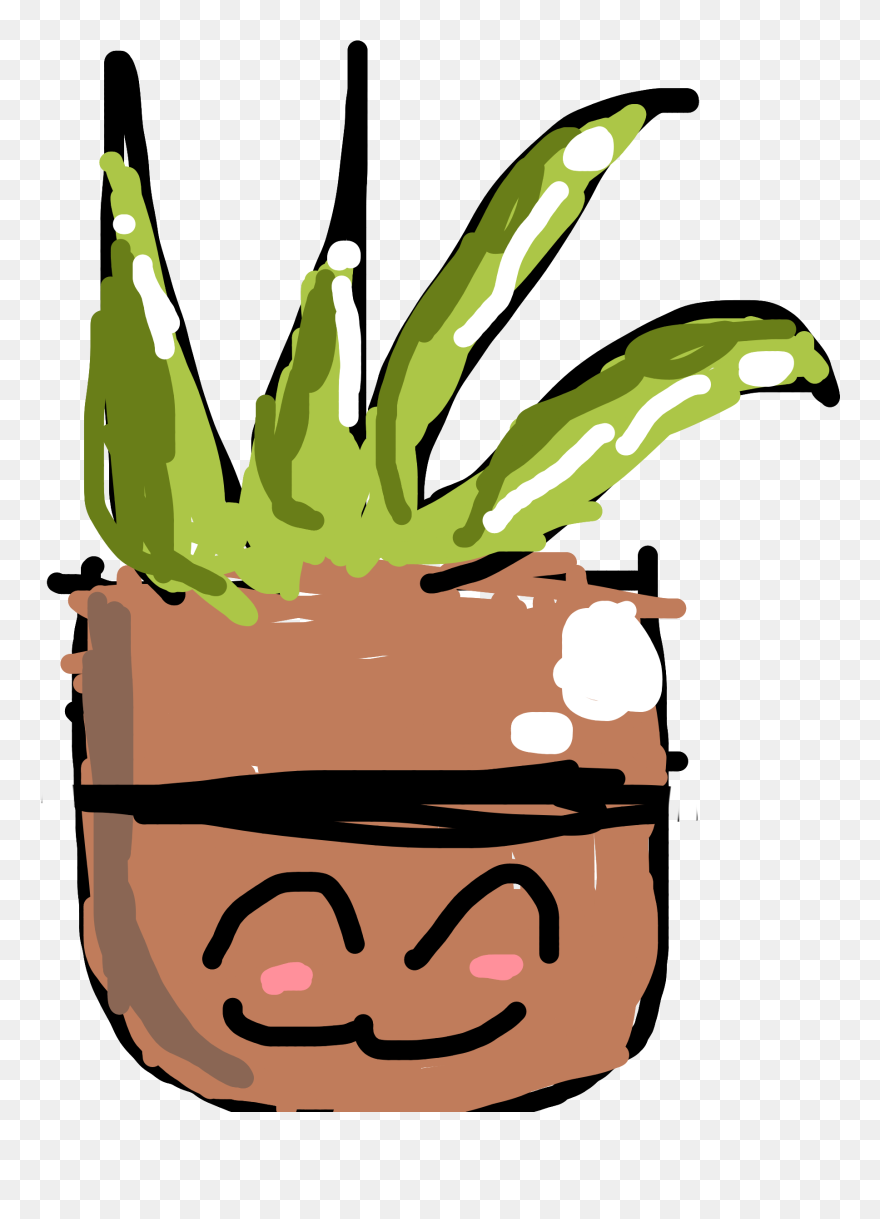 Aloe Vera - Illustration Clipart