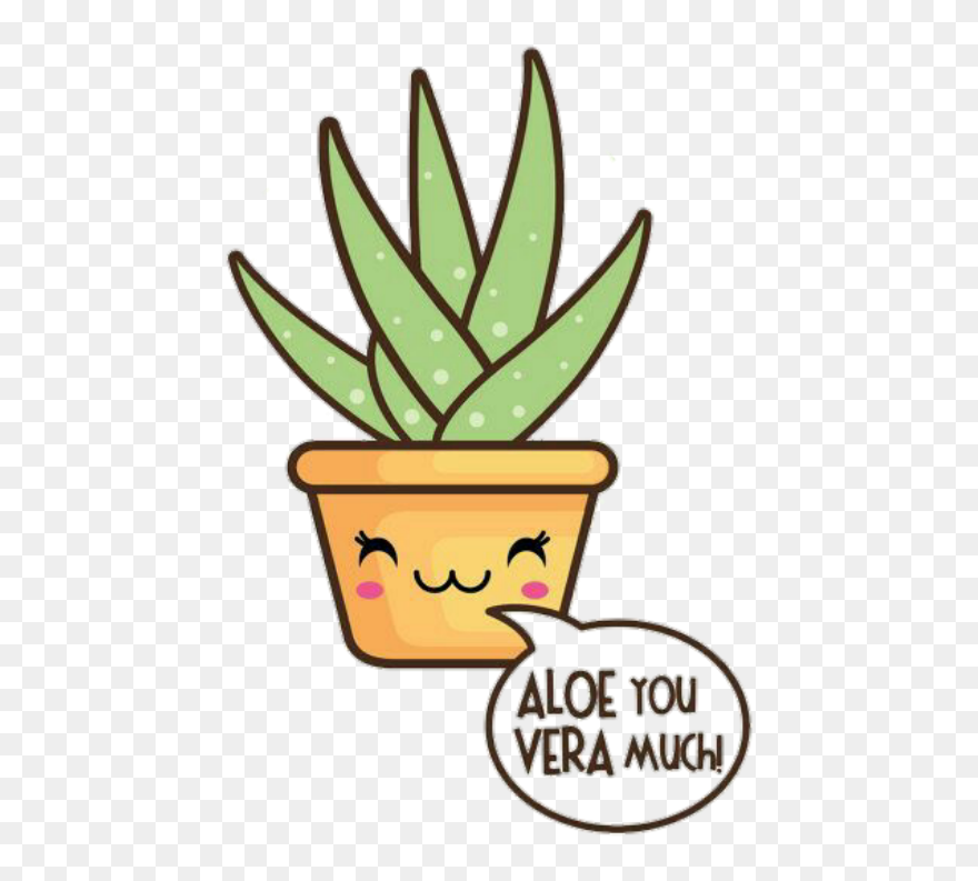 Aloe Clipart