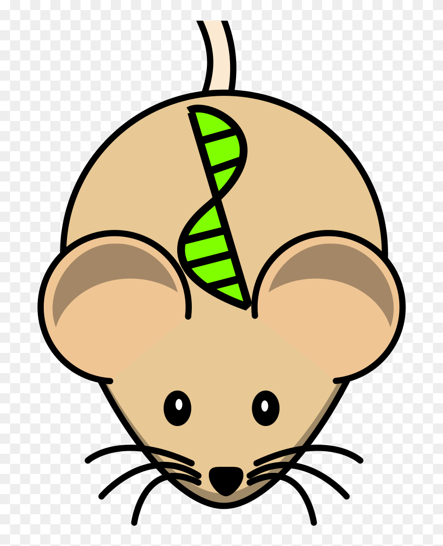 Transgenic Mouse Svg Clip Arts - Mouse Clipart - Png Download