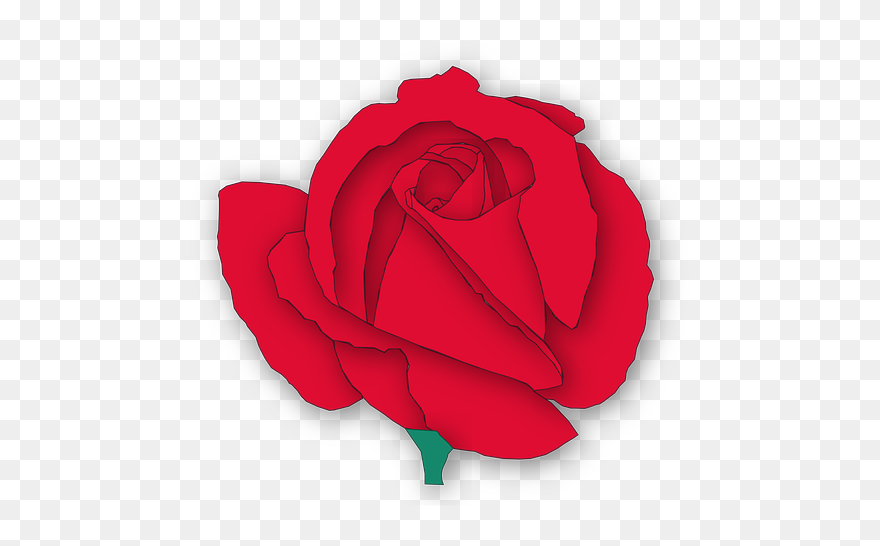 Cartoon Red Rose -flower Vector - Gül Vektör Png Clipart