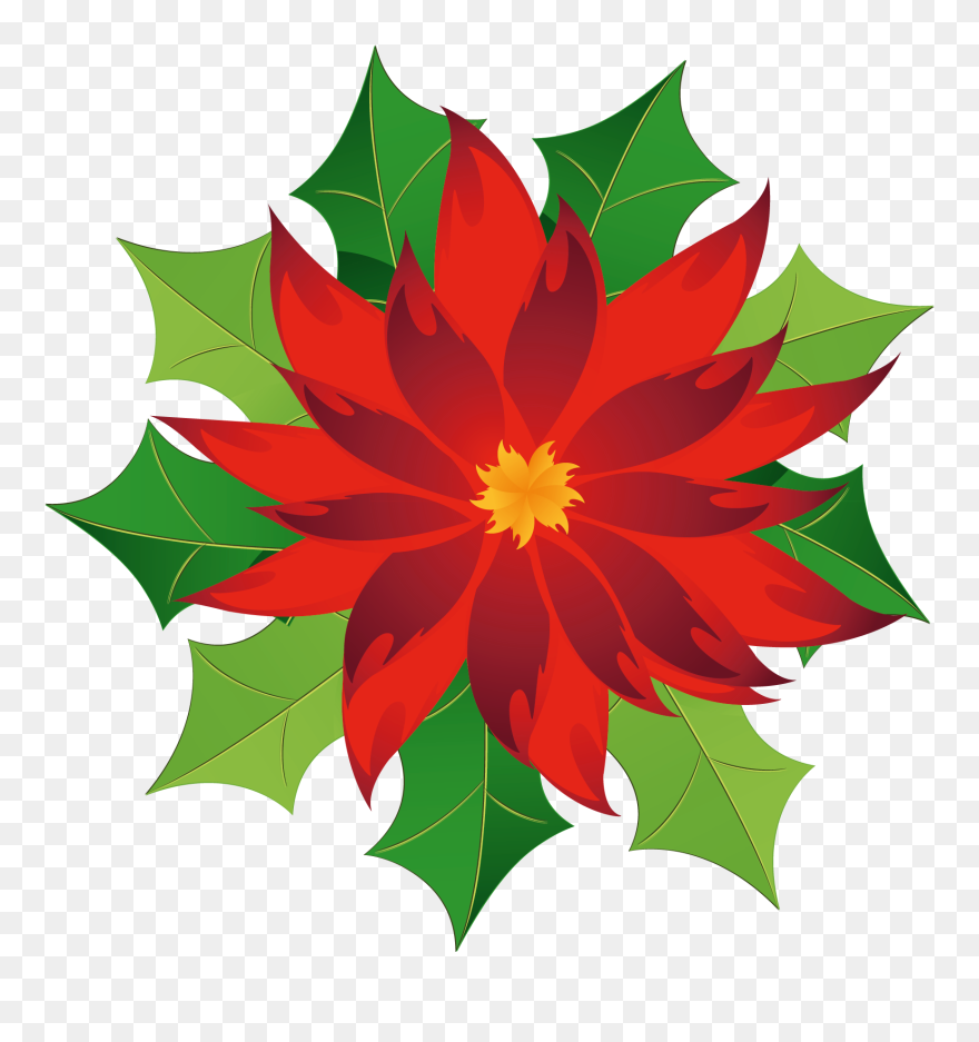 Christmas Poinsettia Clipart - Christmas Flower Clipart Png Transparent Png