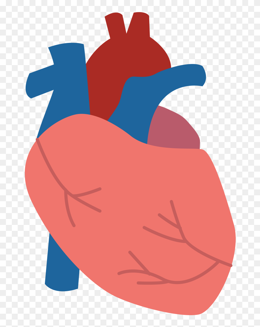 Cinque Terre - Human Body Clipart