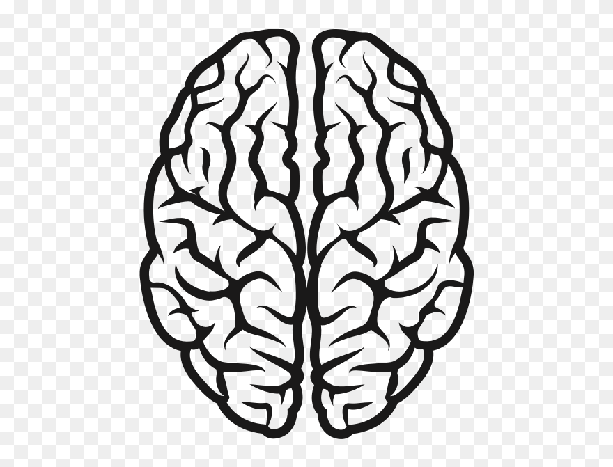 Brain - Brain Clipart Black And White Png Transparent Png