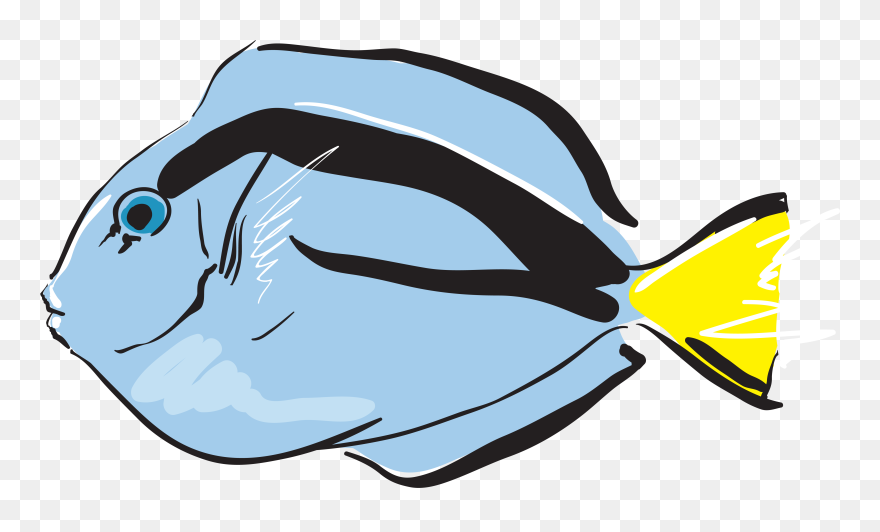 Clip Art Portable Network Graphics Fish Gif Line Art - Portable Network Graphics - Png Download