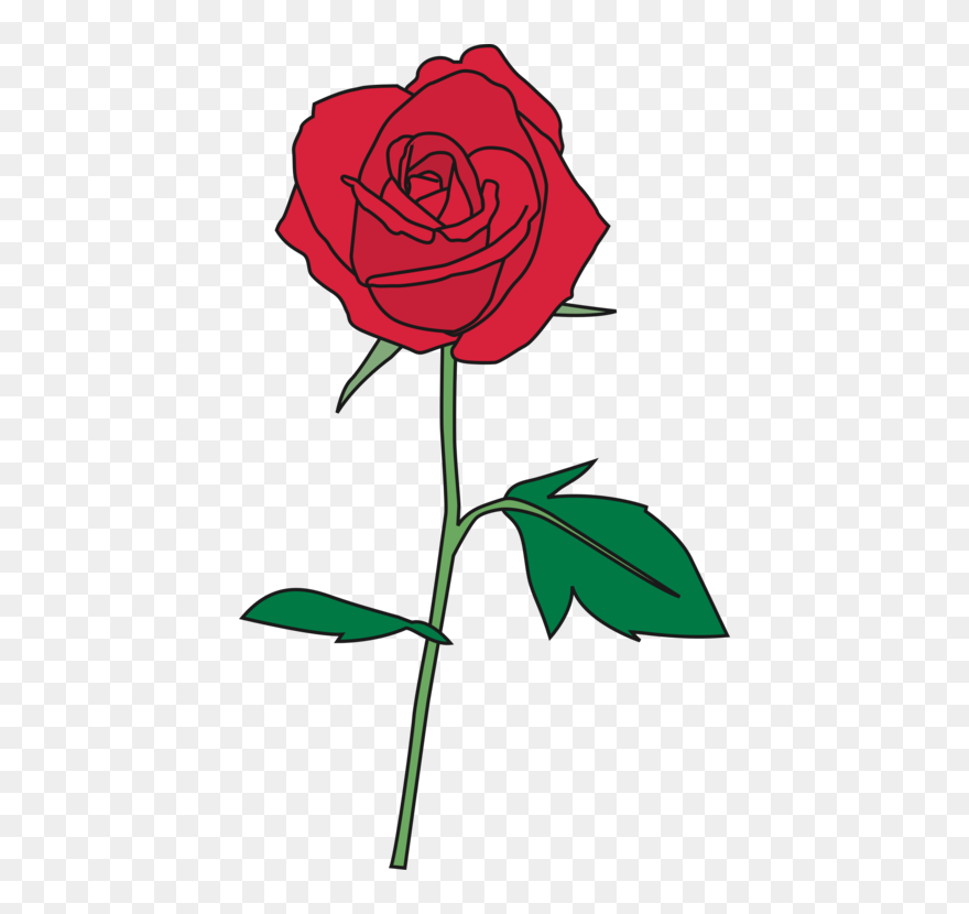 Petal,plant,flora - Roses Images Copyright Free Clipart