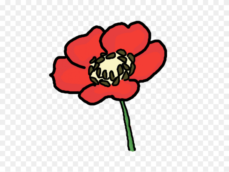 Draw A Poppy Flower Clipart