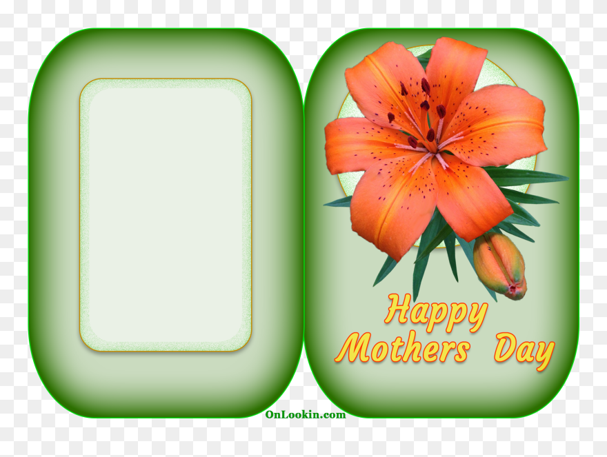 Transparent Mothers Day Flowers Clipart - Mother's Day - Png Download