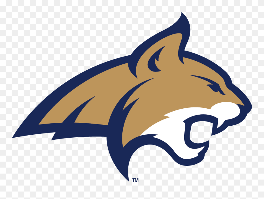 Library Transparent Huge - Mascot Montana State University Clipart