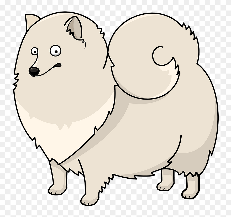 Spetshund Clipart - Dog - Png Download