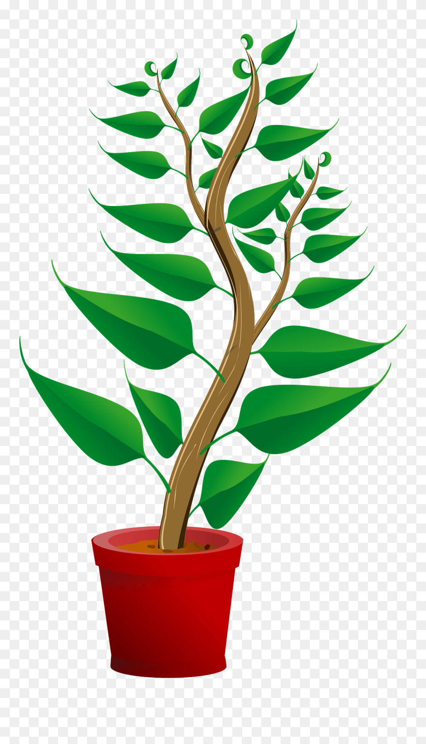 Plant Clip Art Png Transparent Png