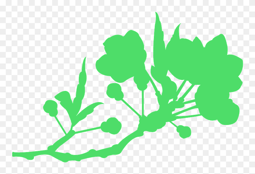 Flower Clipart