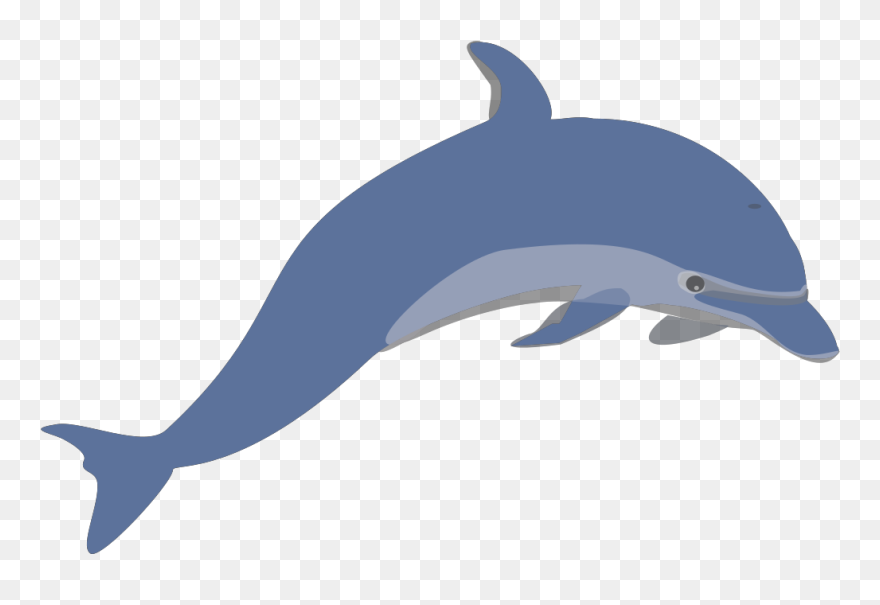 Dauphin Clipart - Png Download