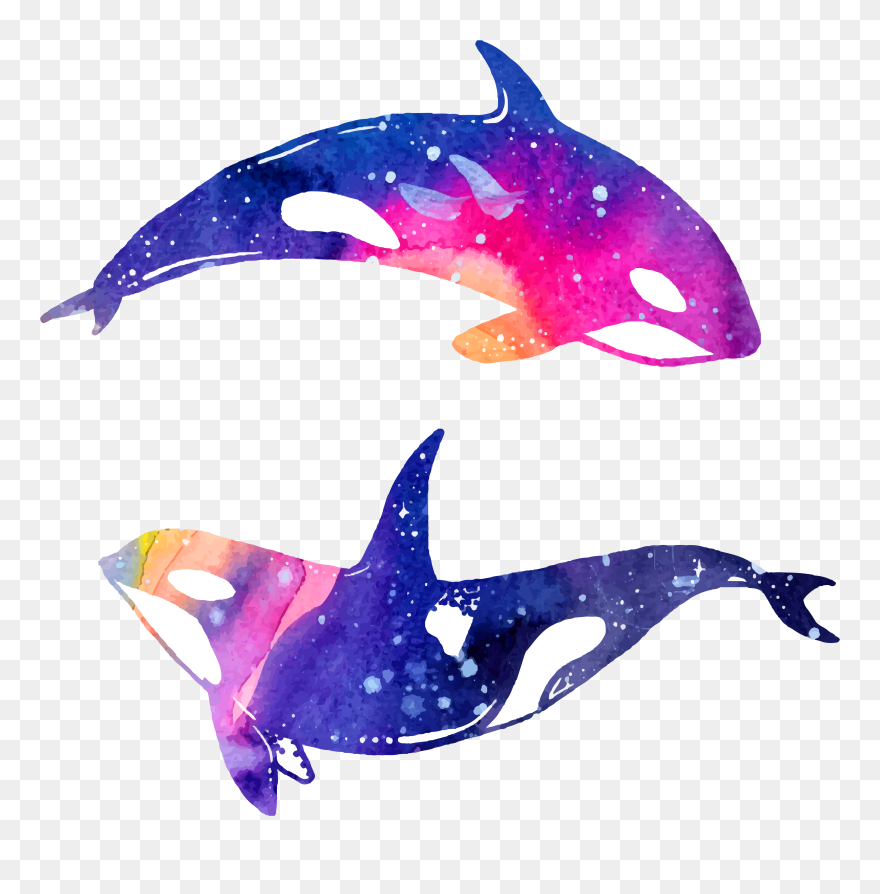 Dolphin Watercolor Painting Illustration - Watercolor Painting Art Whale Dolphin Clipart
