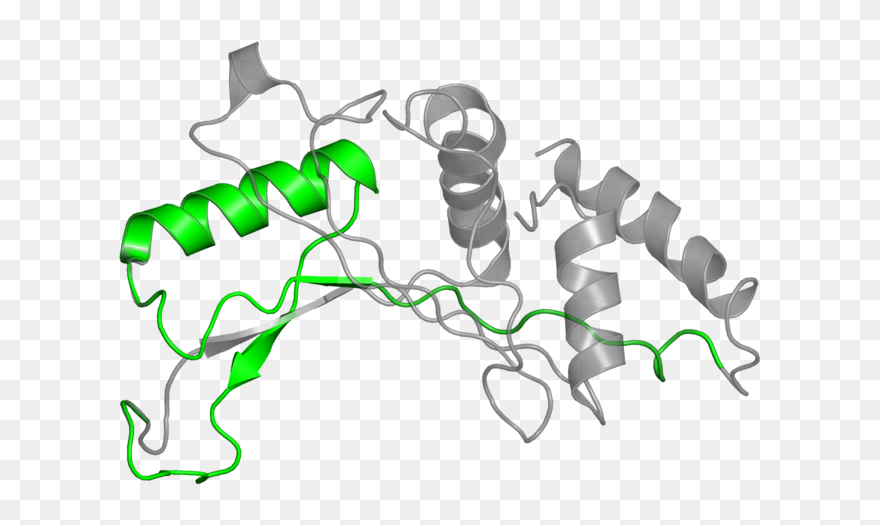 Clip Art - Png Download