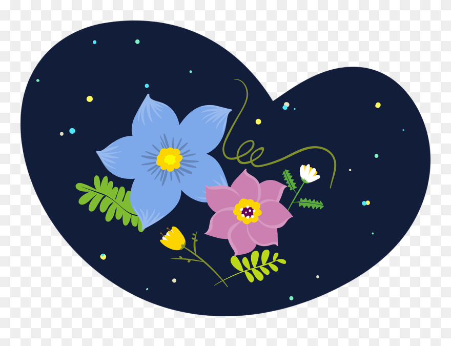 Tulipa Humilis Clipart