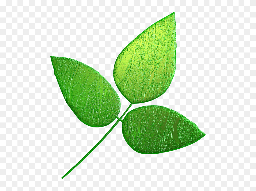Leaf Clipart