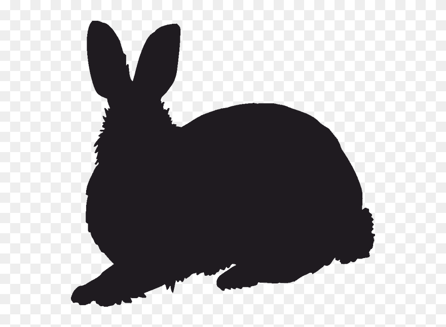Domestic Rabbit Silhouette Hare Stencil - Silhouette Transparent Rabbit Png Clipart