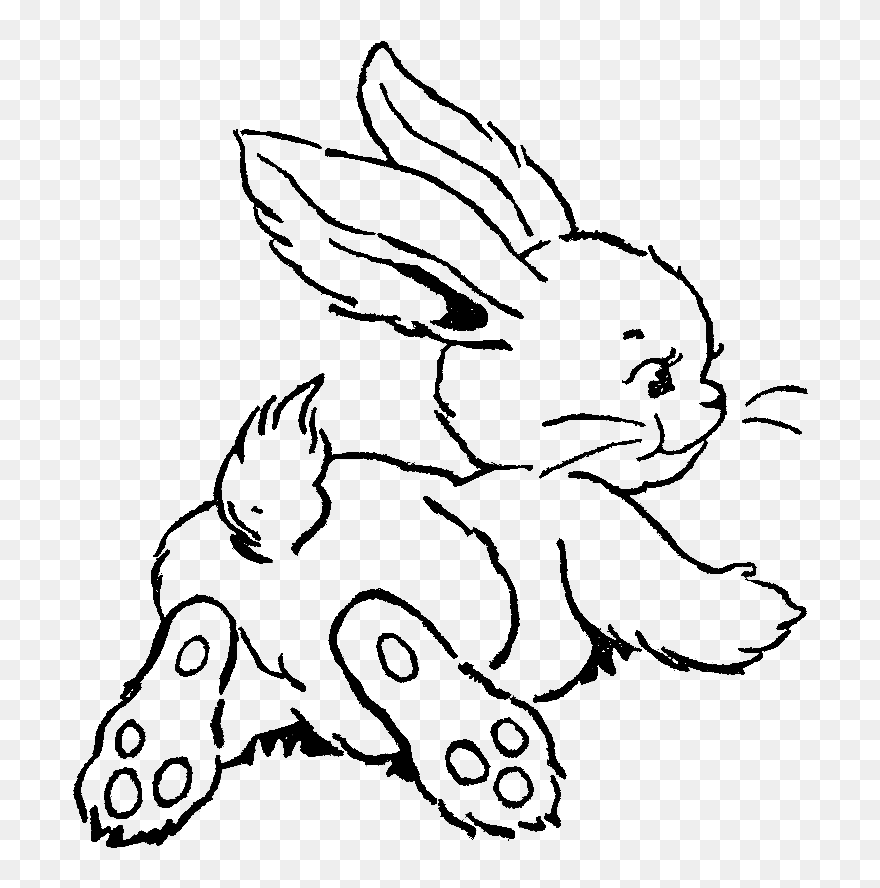 Transparent Bunny Clipart Black And White - Drawing Easter Bunny Art - Png Download