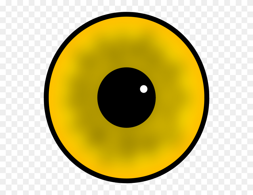 Yellow Human Eye Iris And Pupil Vector Image - 光盘 设计 Clipart
