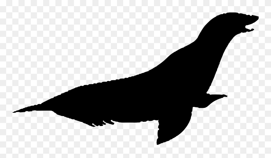 Silhouette - Silueta Lobo De Mar Clipart