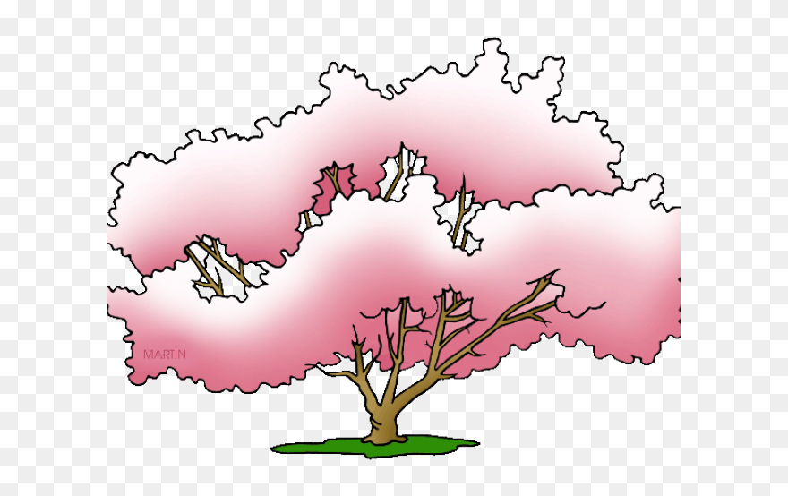 Magnolia Cliparts - Png Download