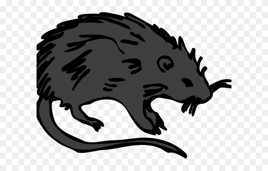 Rat Clip Art - Png Download