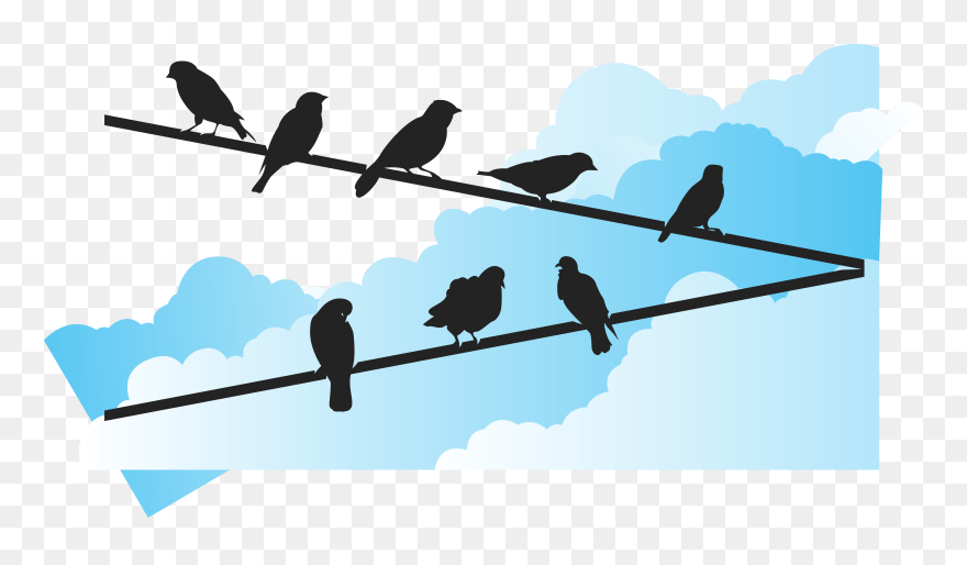 Bird Euclidean Vector Wire - Free Pdf Silhuetas Passaros No Fio Clipart