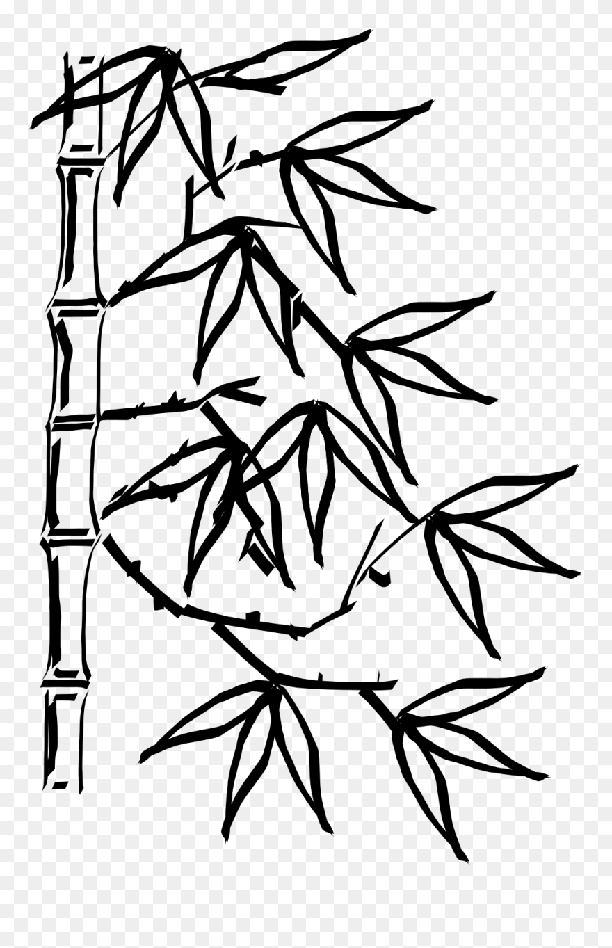 Bamboo Black And White Clipart - Png Download