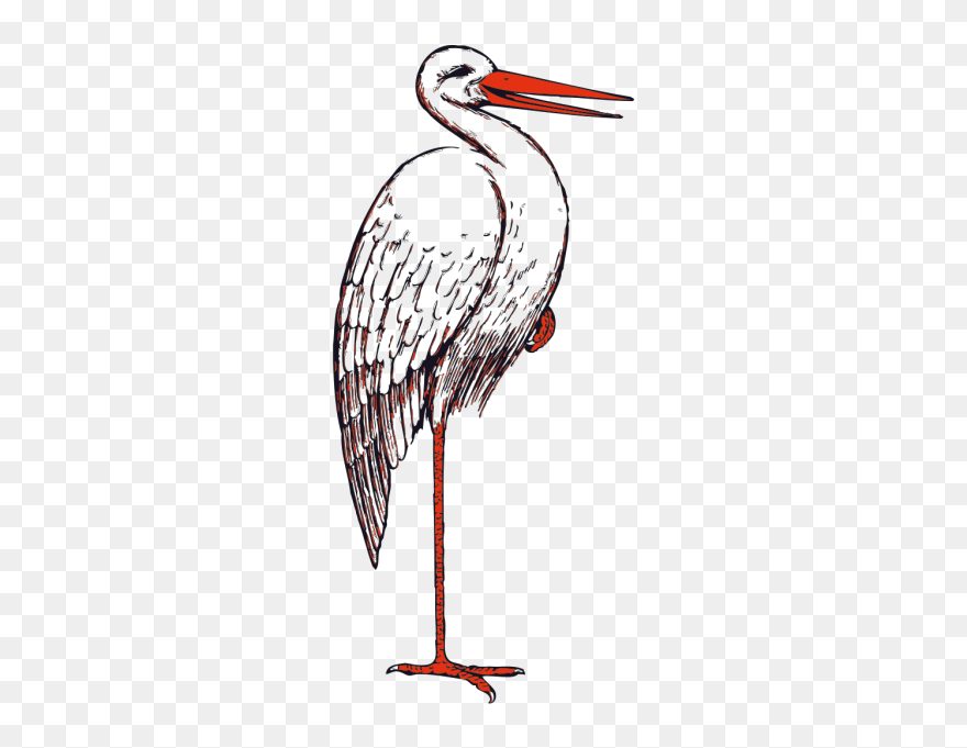 Stork Bird Png Icons - Stork Clip Art Transparent Png
