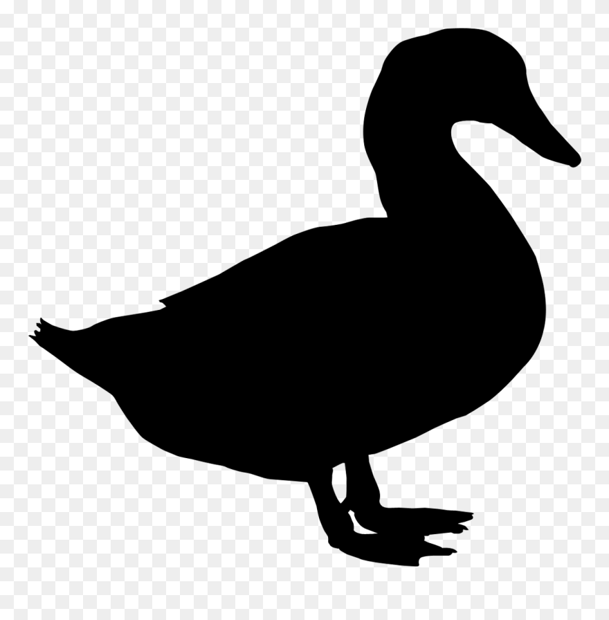 Duck Vector Png - Silhouette Duck Vector Clipart