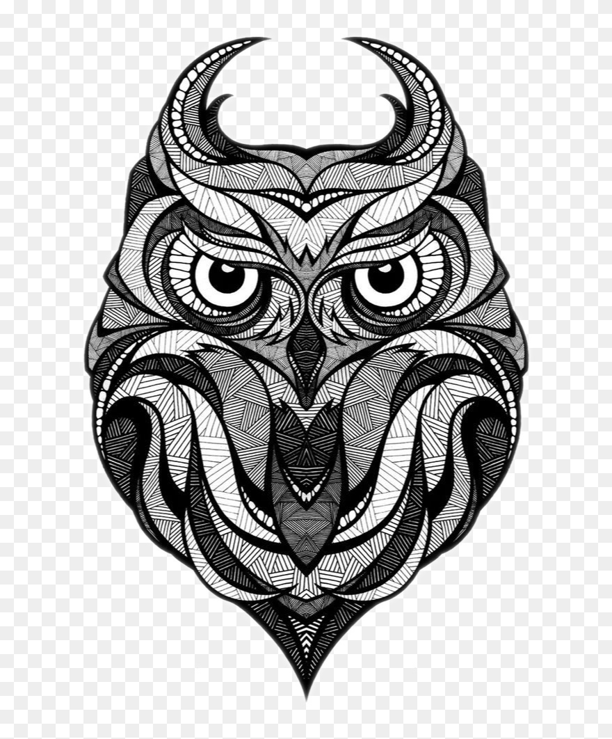 Owl Illustrator Drawing Illustration Tattoo Download - Black Owl Illustration Clipart