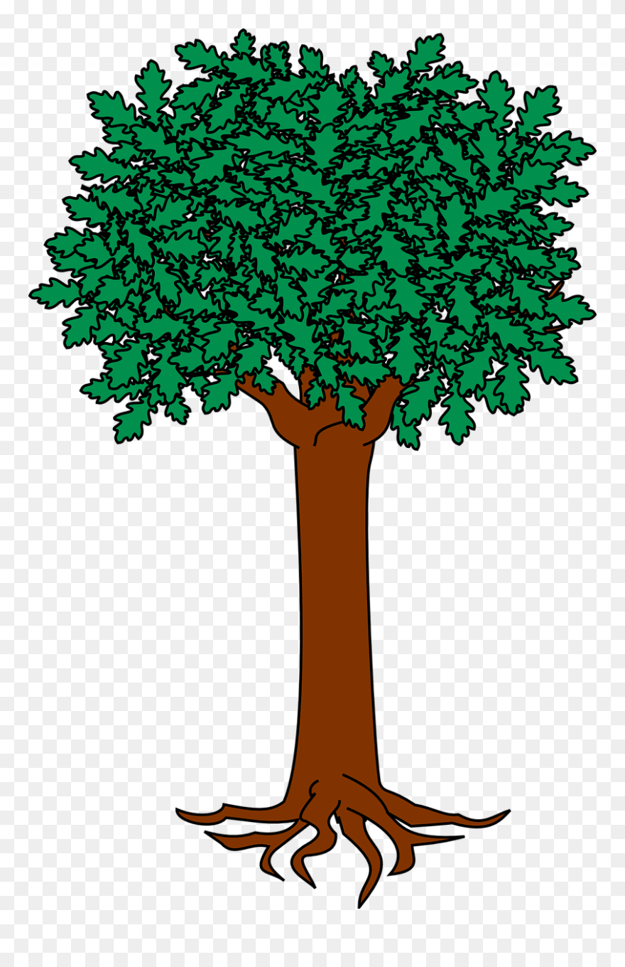 Colonial Brazil Coat Of Arms Clipart