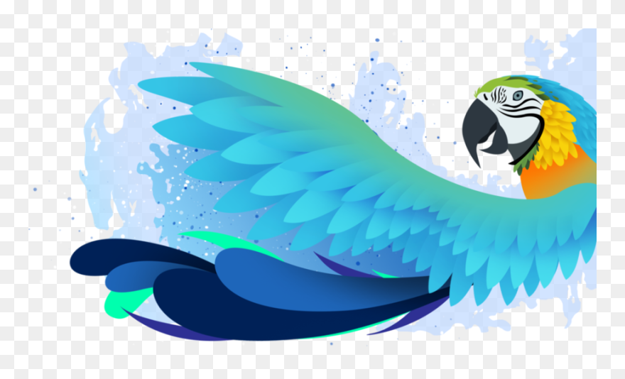 Transparent Parrot Png - Tropical Birds Transparent Background Clipart