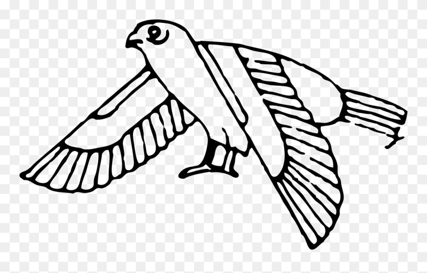 Line Art,wildlife,monochrome Photography Clipart