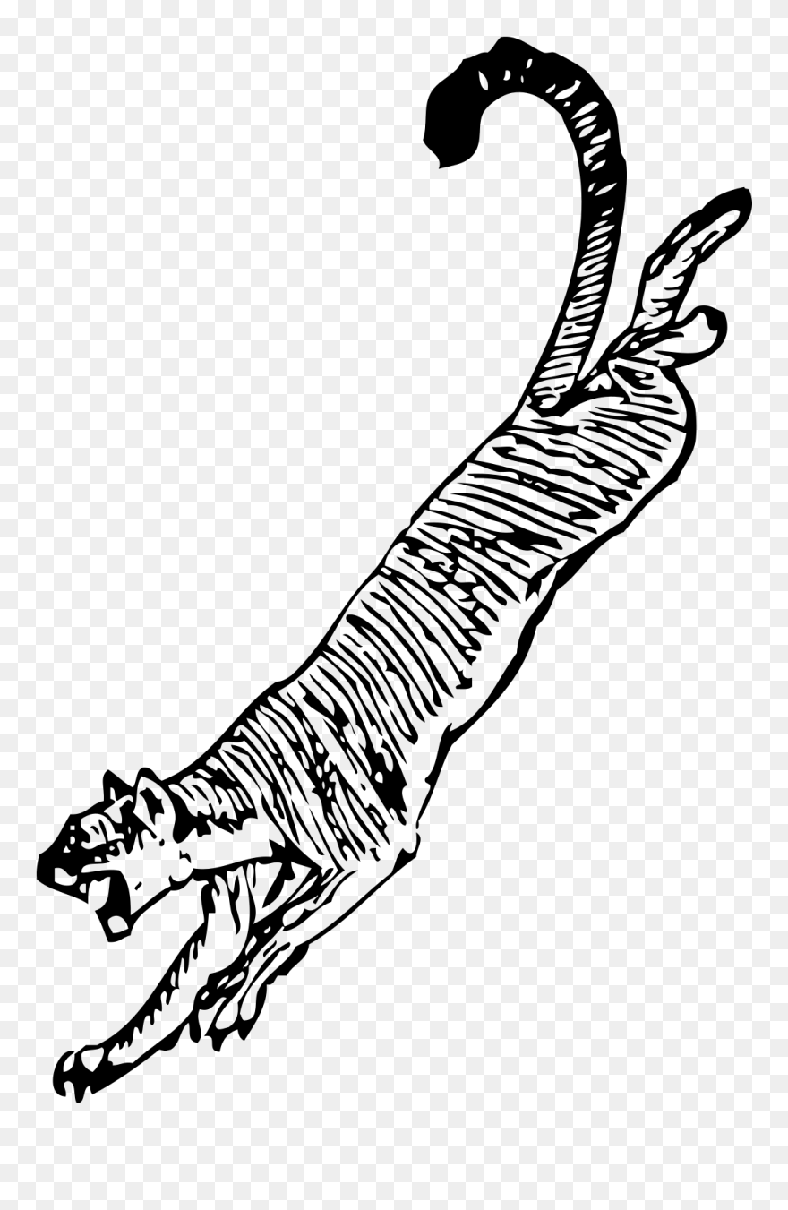 Cougar Clip Art - Png Download