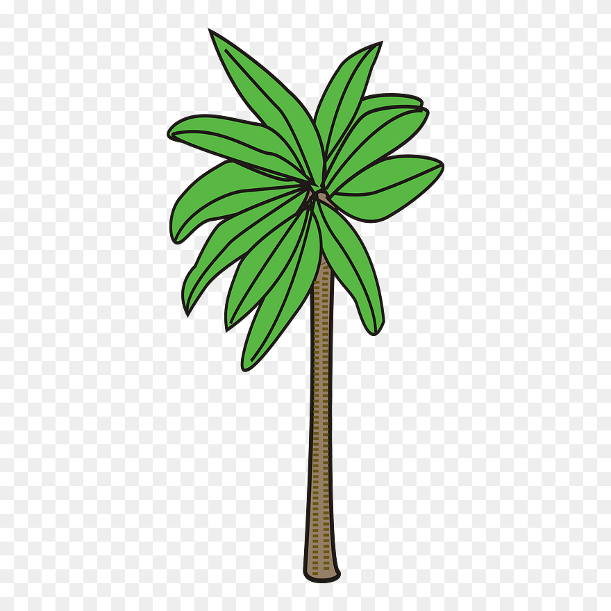 Plants Clipart