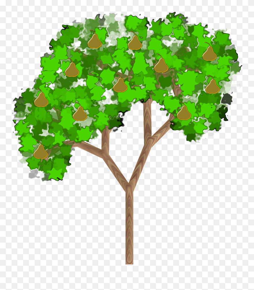 Collection Of Free Pear Drawing Amrood Download On - Pear Tree Clip Art - Png Download
