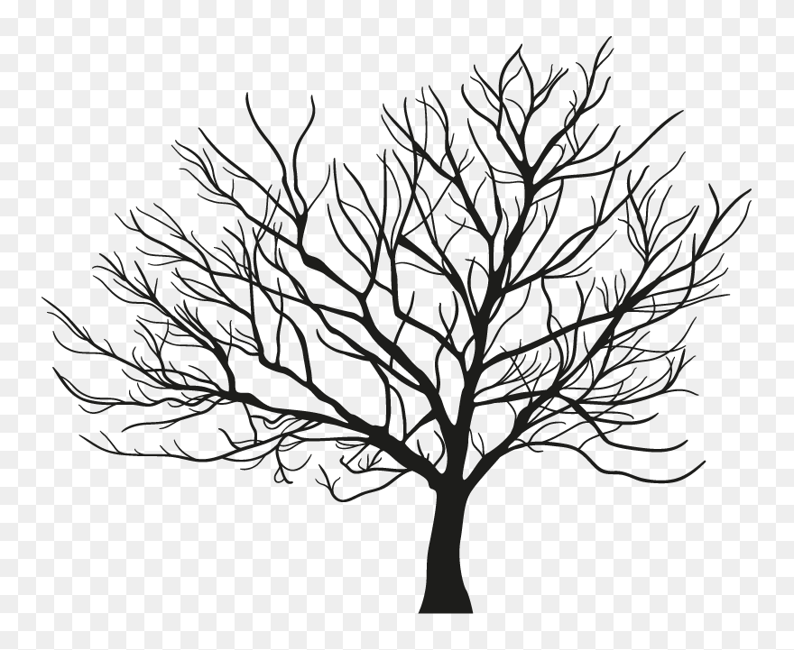 Tree Branch Winter - Arbol Sin Hojas Dibujo Clipart