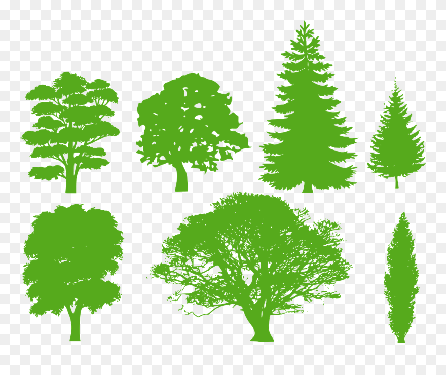 Tree Silhouette Vector Clipart , Png Download - Draw A Black Tree Transparent Png