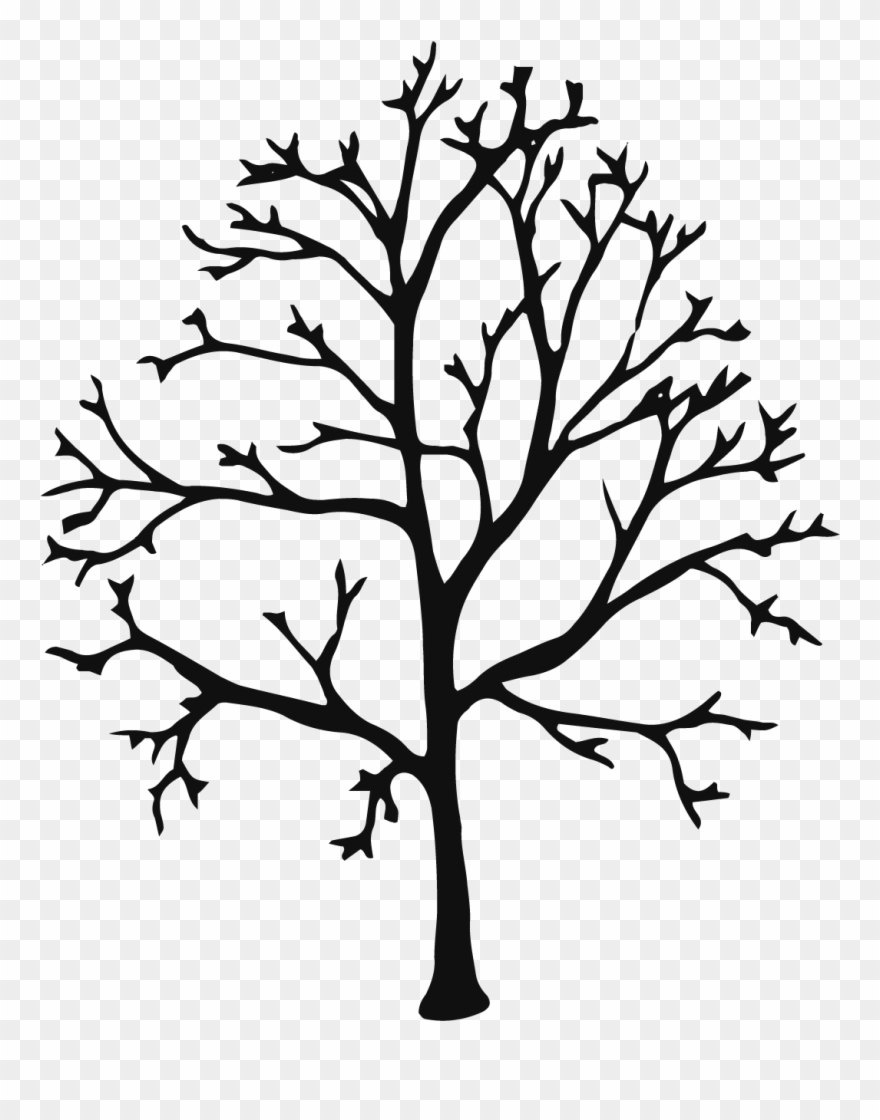 Peter S - Clarke - Illustration Clipart