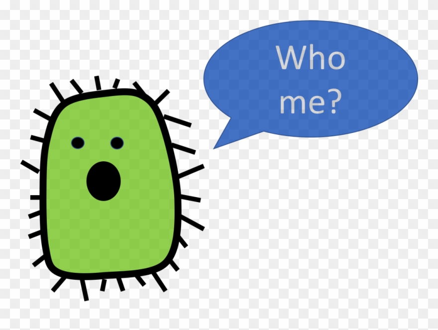 Gut Bacteria And Type Ii Diabetes - Bacteria Clipart