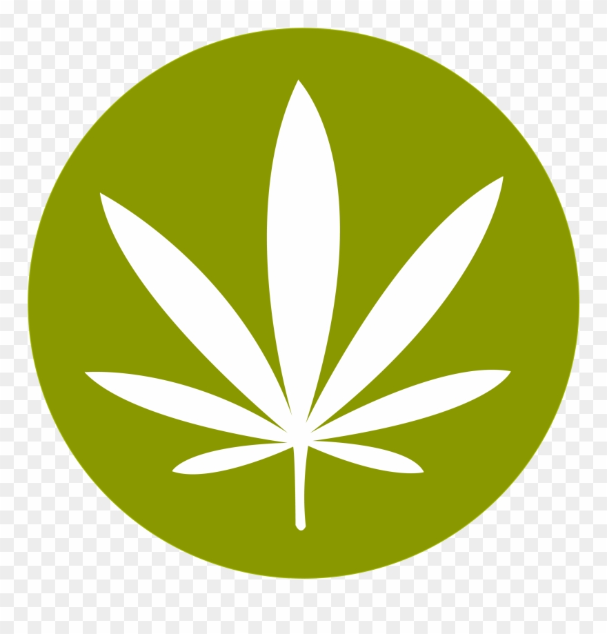 Cannabis Png Images Free Download Rh Pngimg Com Stoner - Cannabis Png Clipart