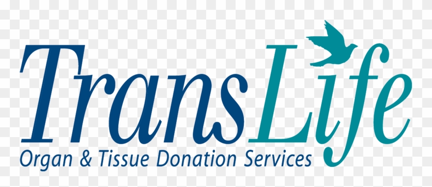 Translife - Jpeg Clipart