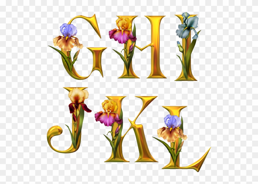 Alphabet Fleurs - Tube Alphabet Clipart